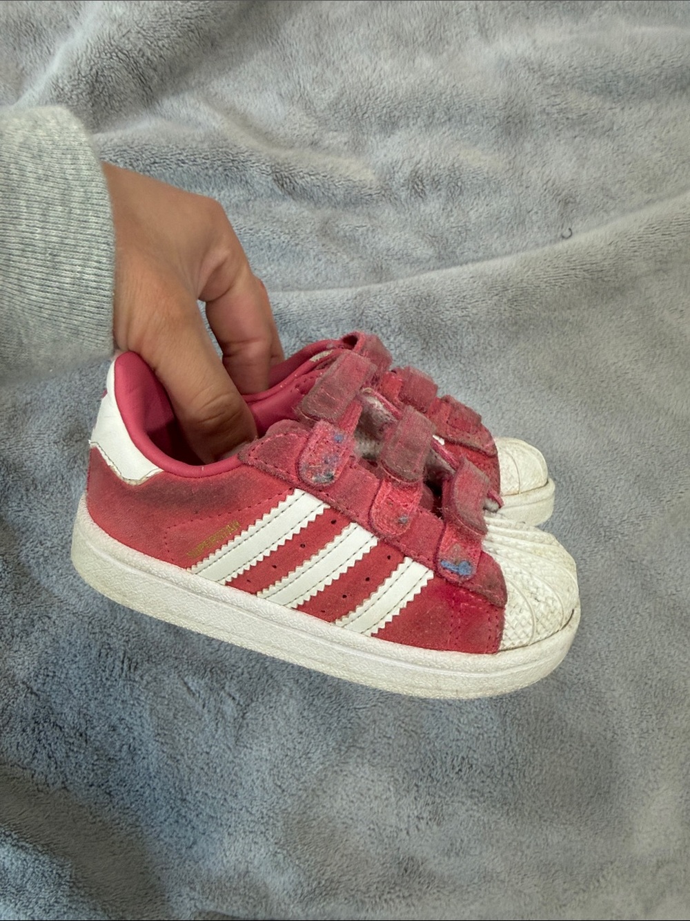 adidas superstar with Velcro toddler 6